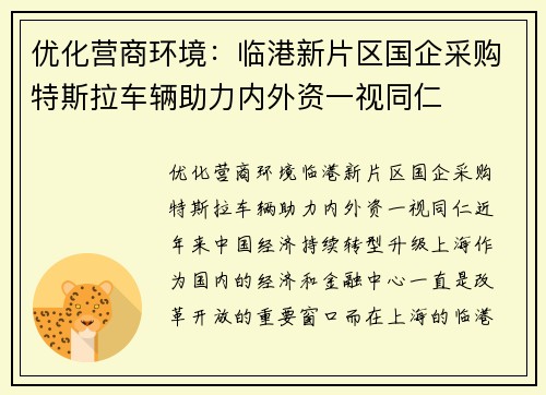 优化营商环境：临港新片区国企采购特斯拉车辆助力内外资一视同仁