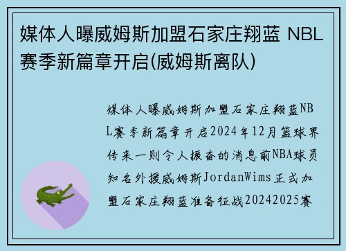 媒体人曝威姆斯加盟石家庄翔蓝 NBL赛季新篇章开启(威姆斯离队)