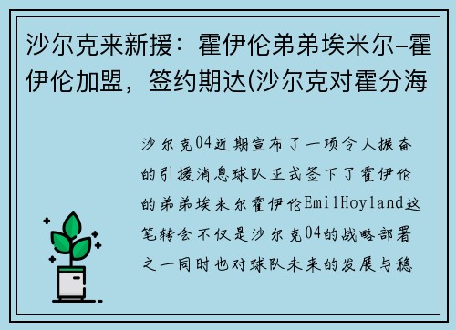 沙尔克来新援：霍伊伦弟弟埃米尔-霍伊伦加盟，签约期达(沙尔克对霍分海姆)