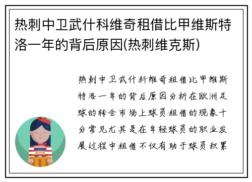 热刺中卫武什科维奇租借比甲维斯特洛一年的背后原因(热刺维克斯)