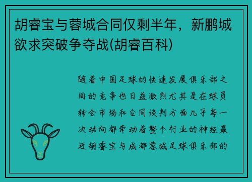 胡睿宝与蓉城合同仅剩半年，新鹏城欲求突破争夺战(胡睿百科)